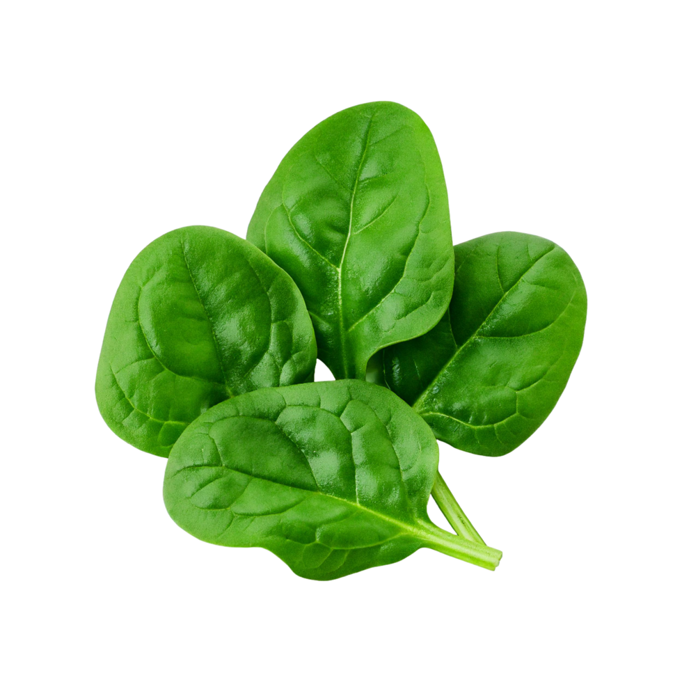 SPINACH